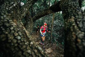 BIB: 
                            <button type="button" onclick="openModal(25392310)" class="btn btn-primary btn-sm float-right btn-popup" data-toggle="modal" data-target=".modal-high-quality">
                        <i class="fas fa-shopping-cart"></i> Add to Cart
                    </button>
                                            <button type="button" onclick="isThisMe(25392310, true)" class="btn btn-success btn-sm float-right btn-popup btn-isme hidden" data-toggle="tooltip" data-placement="bottom" title="นี่คือรูปของคุณใช่ไหม คลิกที่นี่เพื่อเอาเข้าอัลบั้ม">
                        <i class="fas fa-plus"></i> Add to album
                    </button>
                    <button type="button" onclick="isThisMe(25392310, false)" class="btn btn-warning btn-sm float-right btn-popup btn-isnotme hidden">
                        <i class="fas fa-ban"></i> Remove from album
                    </button>